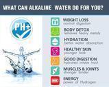 Alkaline Water Bottle