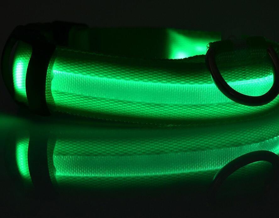 Night Safety Flashing Glow In The Dark Dog Collar